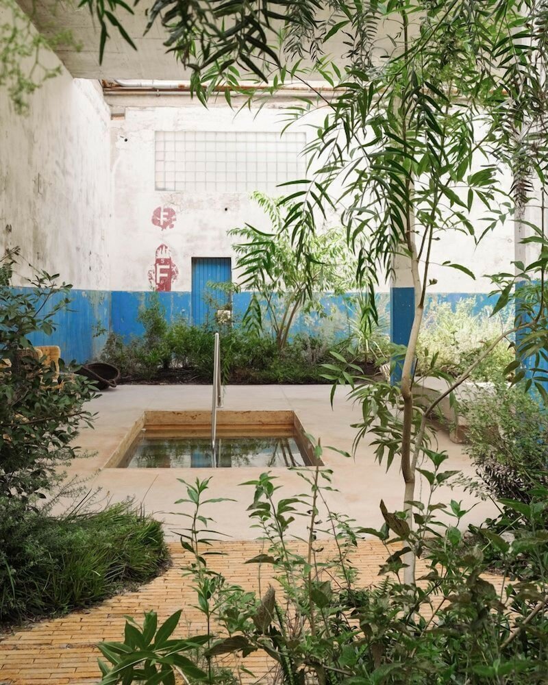 Фото Hotel Hércules