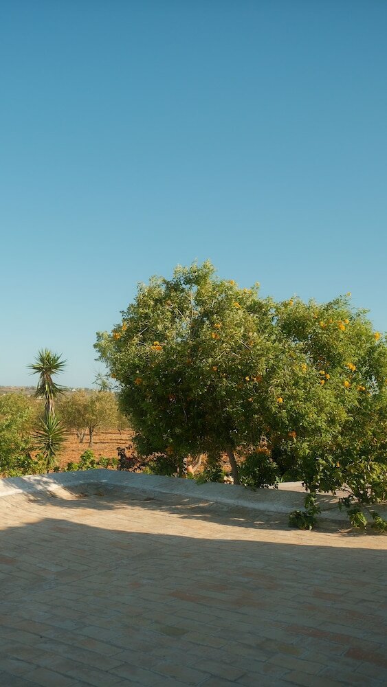 Фото Quinta Coelho