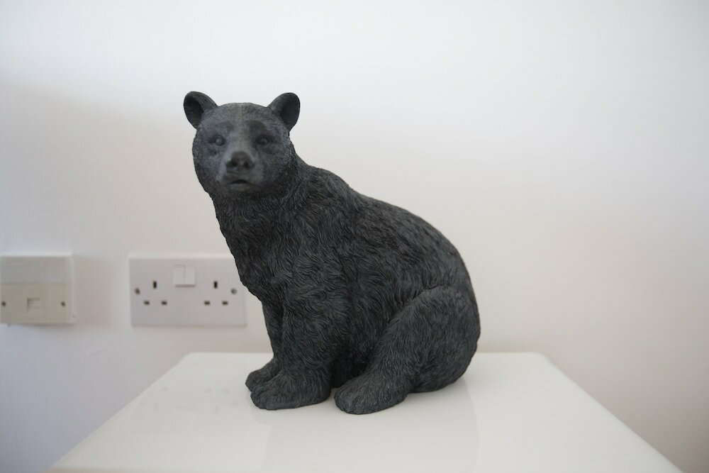 Фото Luxury 2-bed Flat, Parking and Close to the Tube