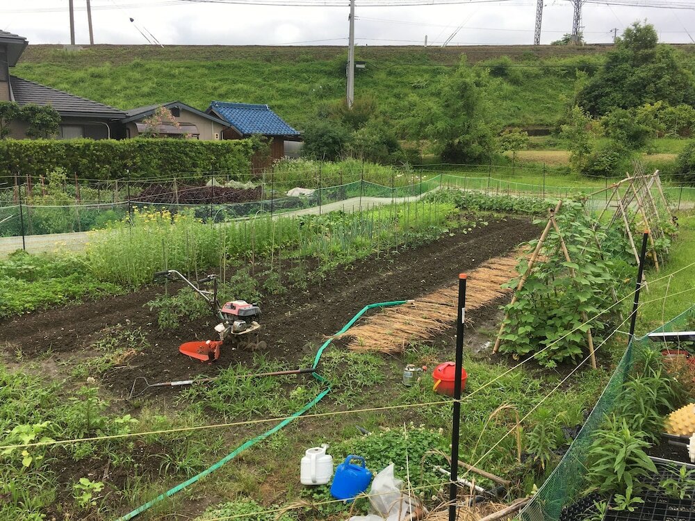 Фото Guest House Ilonggo