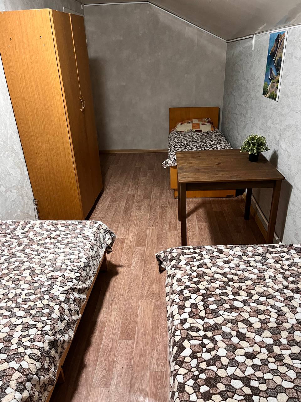 Фото Малина