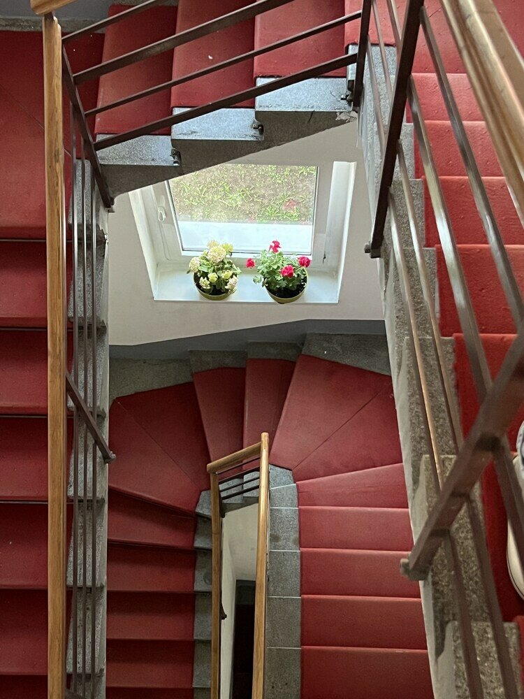 Фото Cabbage Hostel