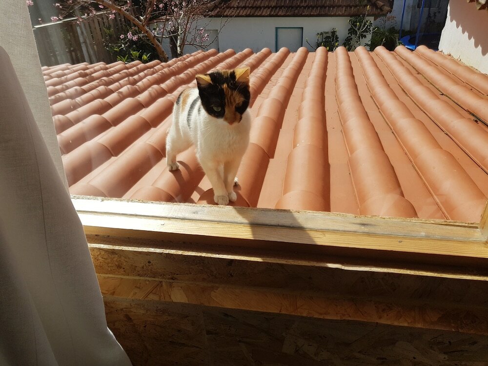 Фото Refugio do Esquilo