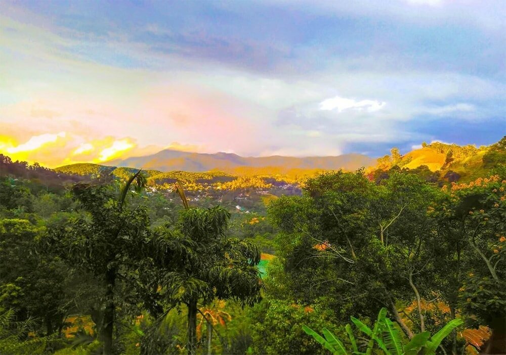 Фото Rockvila Guest House