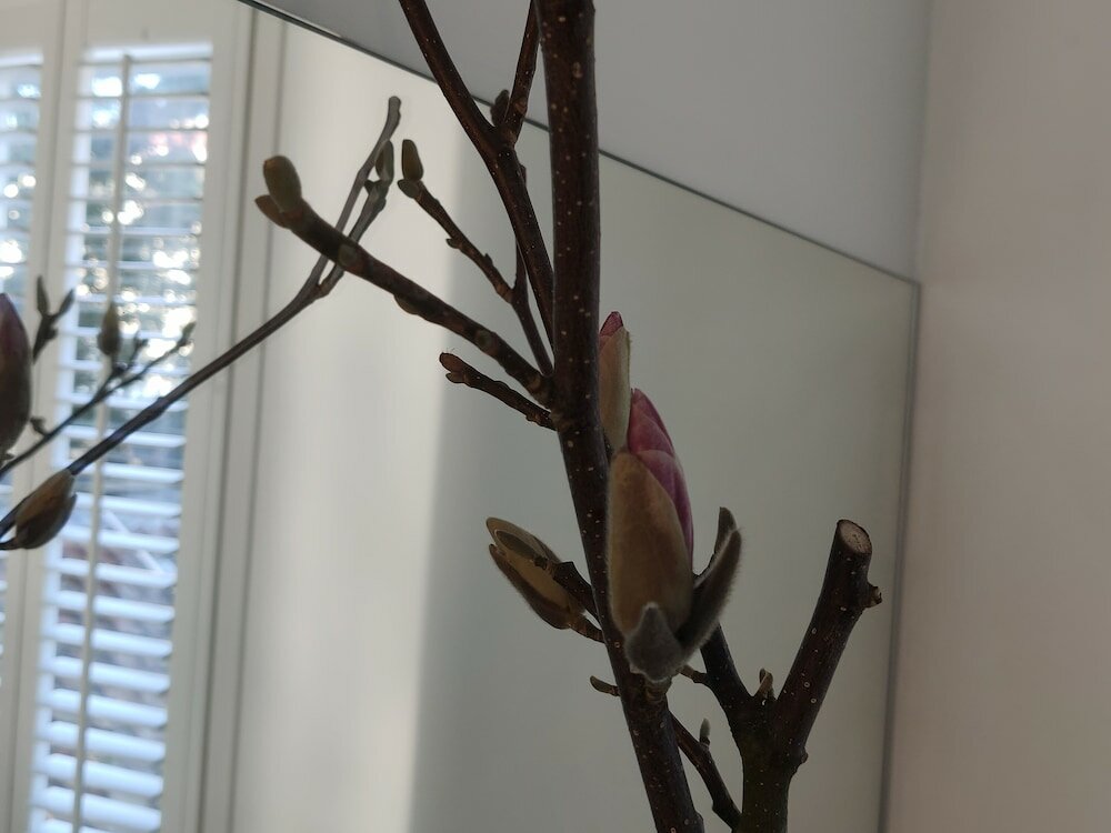 Фото B&b Hart van Leiden