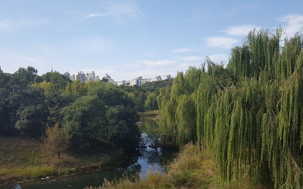 Фото Seoul Forest Stay