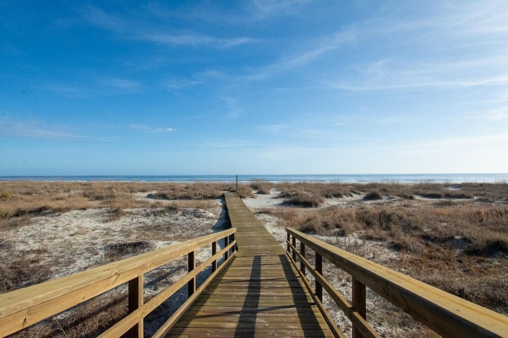 Фото 711 Yellow Perch