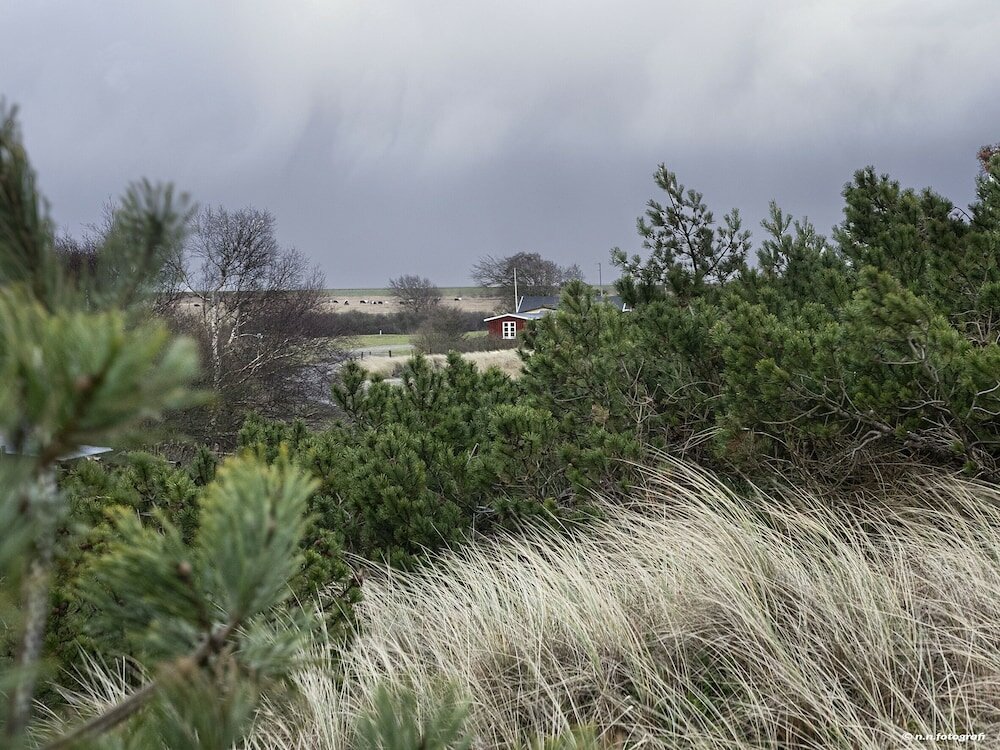 Фото Rødby Købstadshotel