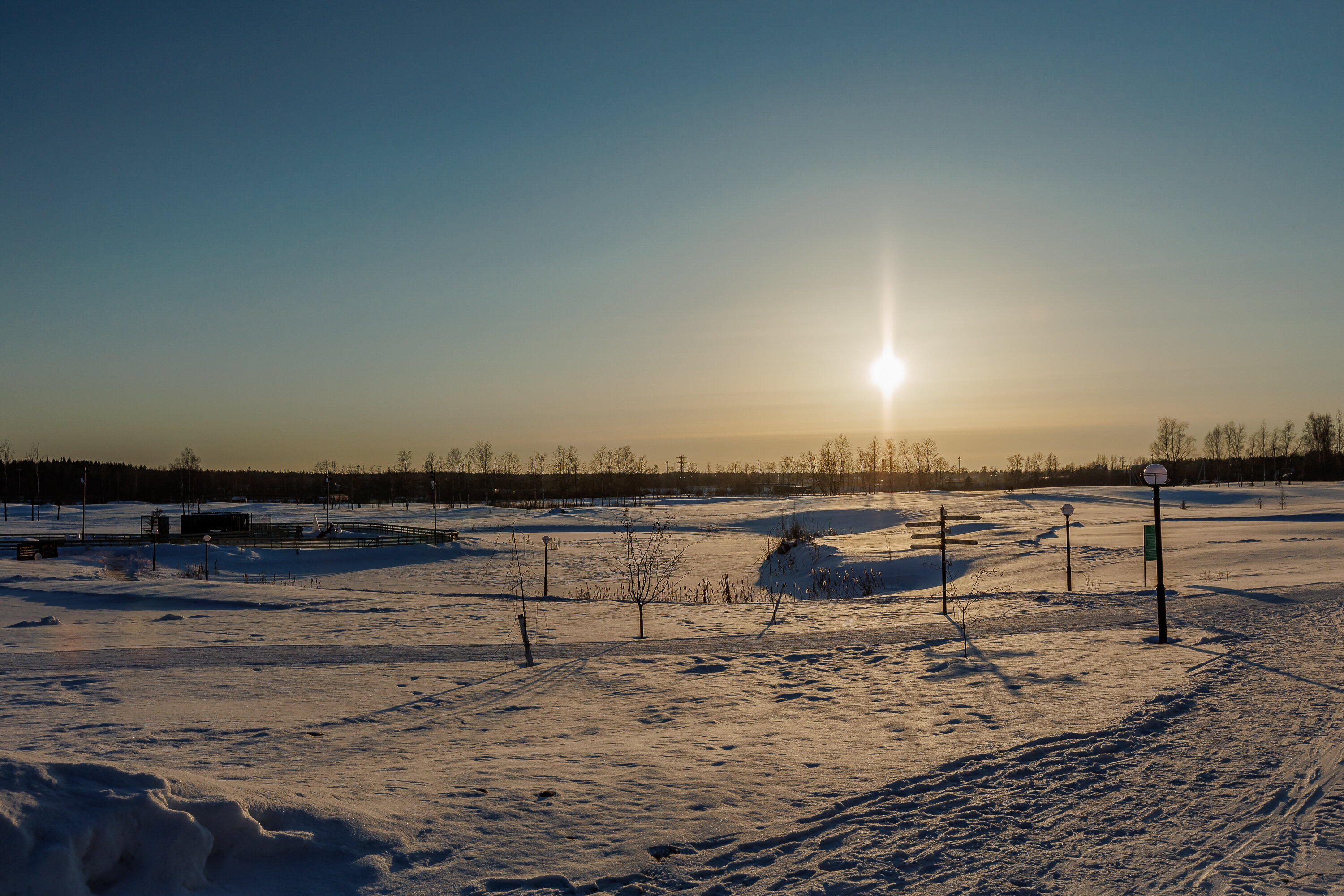 Фото Земляничные Поляны