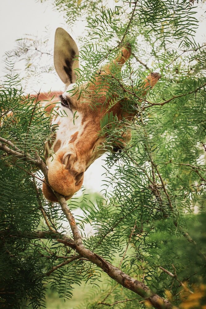 Фото Blue Hills Ranch