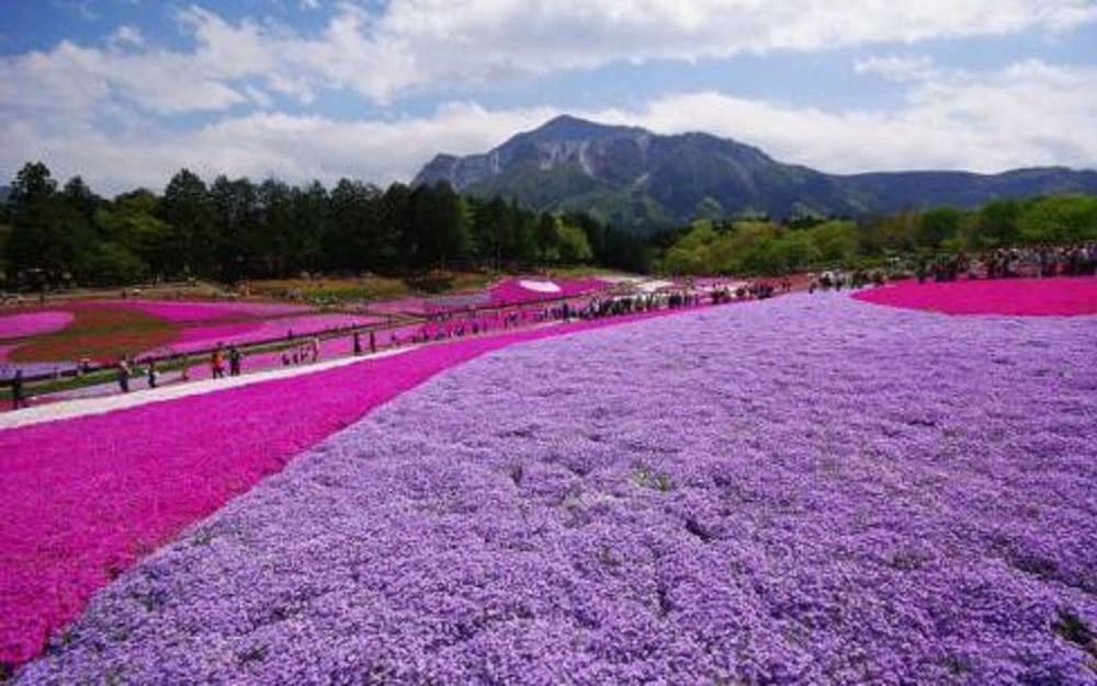 Фото One Meter Sunshine Xi'an Xianyang International Airport Hotel
