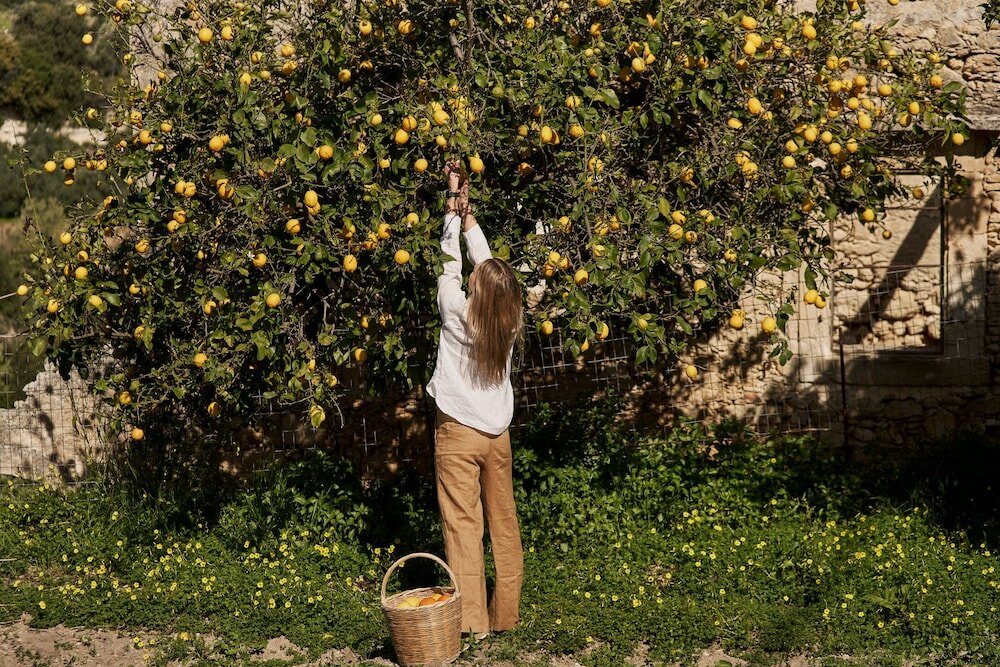 Фото Kapsaliana Village Hotel