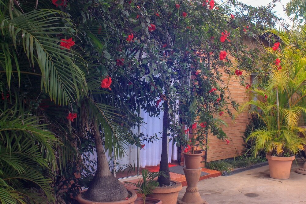 Фото Lillo Executive Lodge