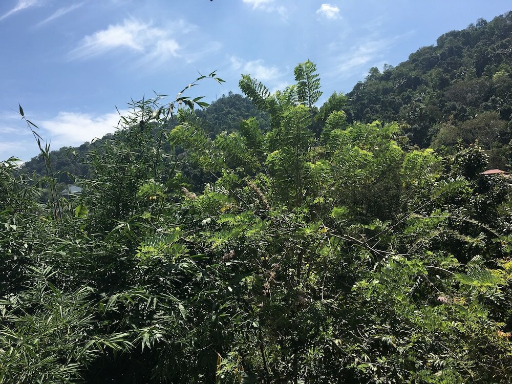 Фото Kandy Home Stay Villa