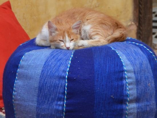 Фото Riad Suliman