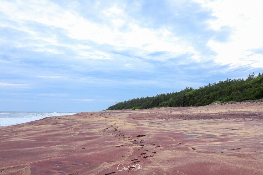 Фото Ceylonta Beach Resort and SPA