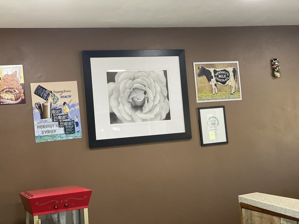 Фото White Rose Motel - Hershey