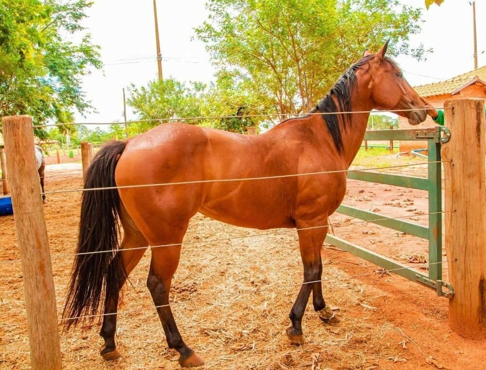 Фото Botânico Hotel Fazenda e SPA