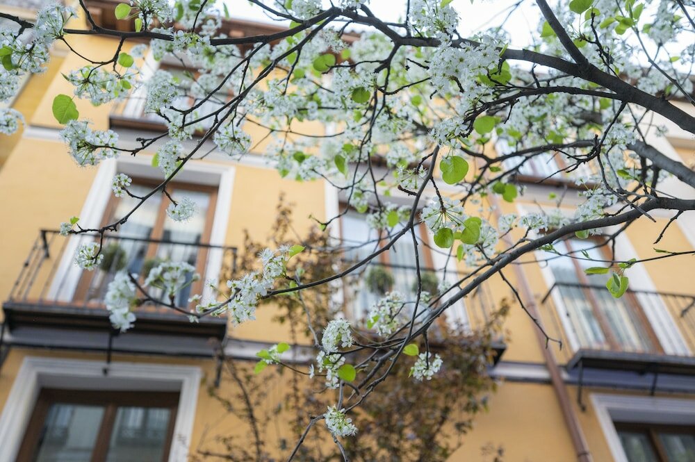 Фото Apartamentos Huertas