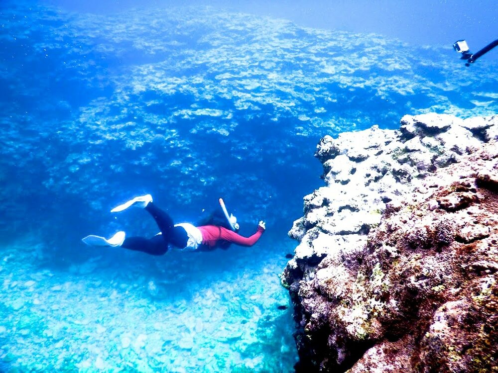 Фото Guesthouse Ho Aloha - Hostel