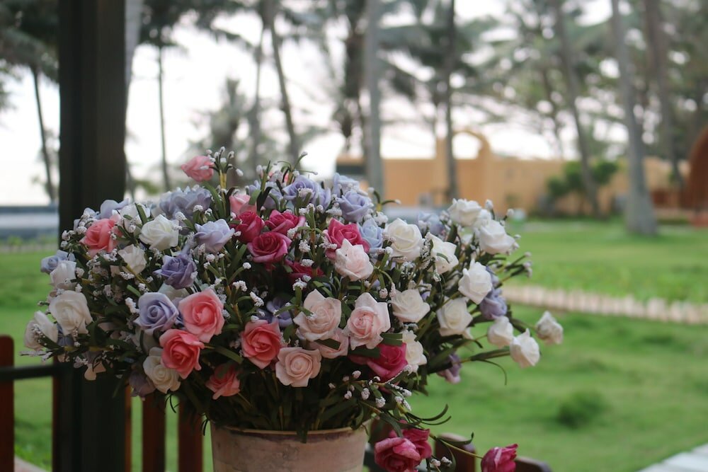 Фото Vida Loca Resort & Sunset Beach