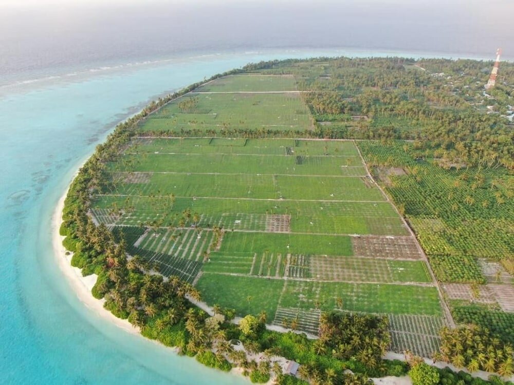 Фото Thila Farm View Guest House