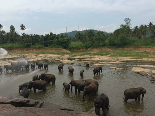 Гостиница Explore Central Srilanka