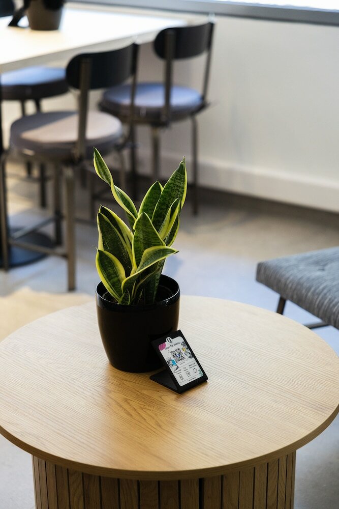 Фото The Q Hotel