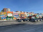 Flower yard (ulitsa Fedyuninskogo, 55) ، محل زهور