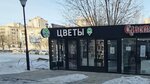 Эль-Флора (Волгоград, Центр), магазин цветов в Волгограде