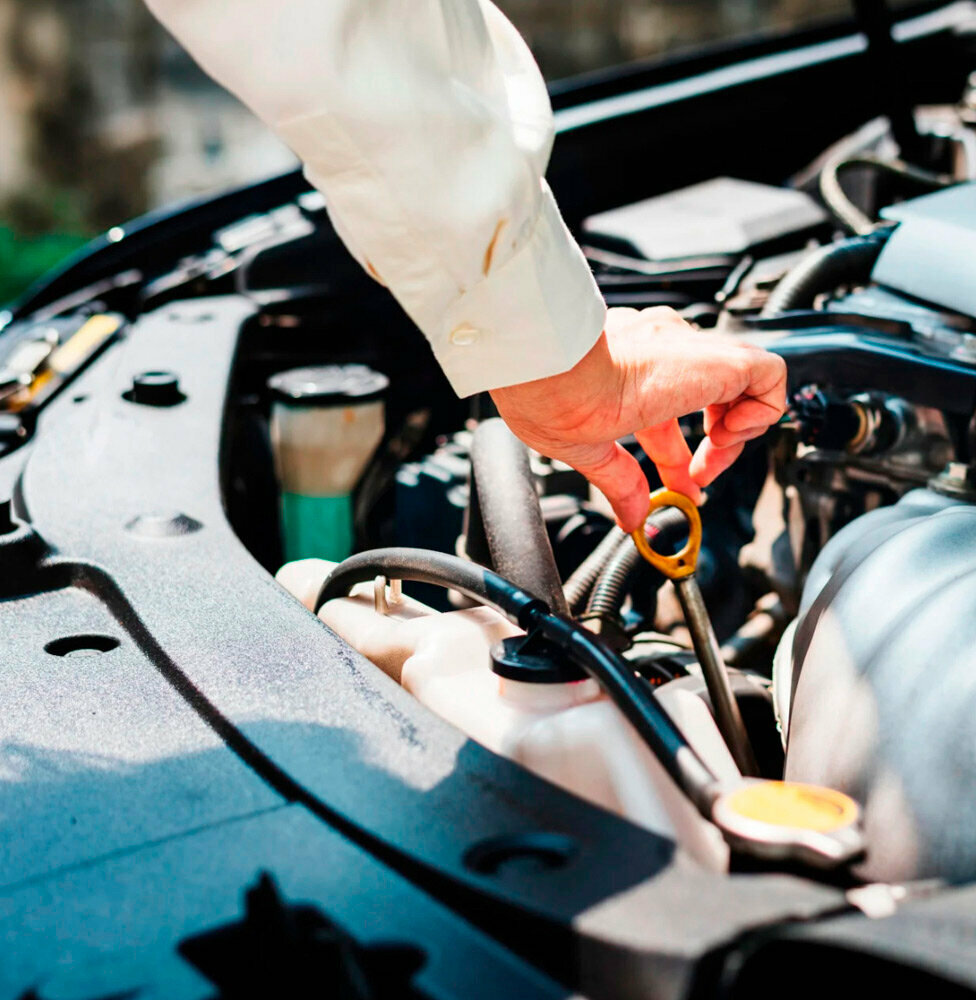 Servicios de conductor sin coche Car Oil Expertoil.Kz, , foto