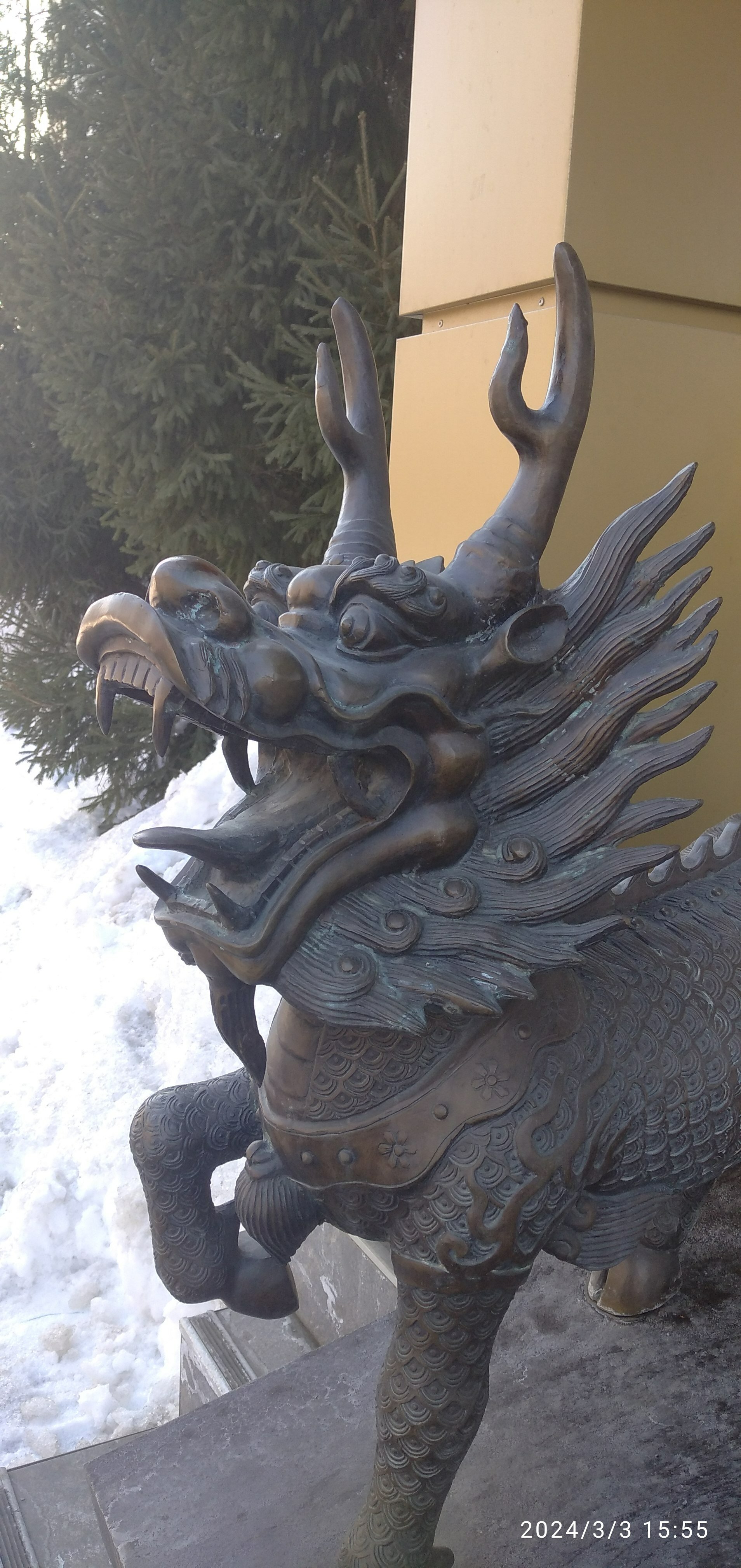 Фото Золотой дракон