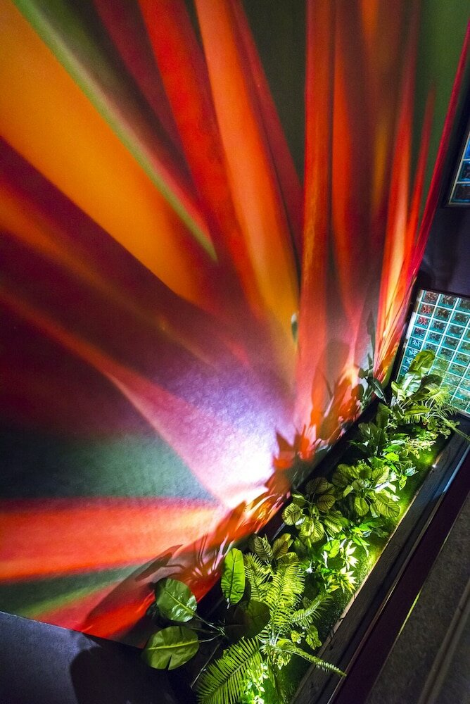 Фото Water Hotel Ry - Adults Only