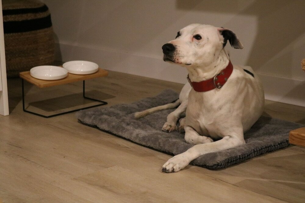 Фото Apartamentos Málaga Premium - Calle San Telmo