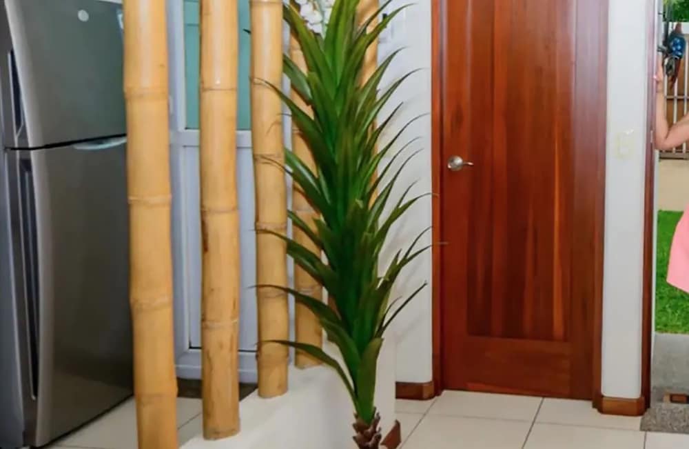 Фото Ixtapa Exclusiva Villa EN la Zona Hotelera