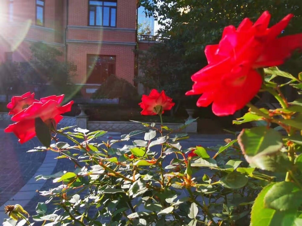 Фото Railway 1896 Garden Hotel