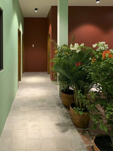 Гостиница Chi Hieu Homestay в Провинции Бакльеу