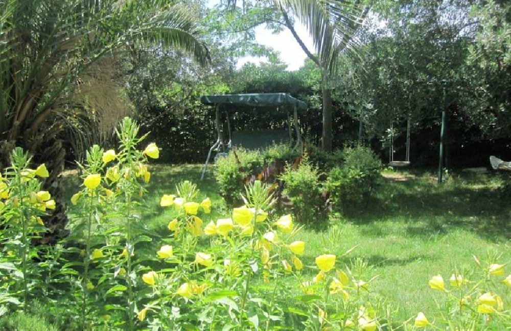 Фото Hostel Oktarin