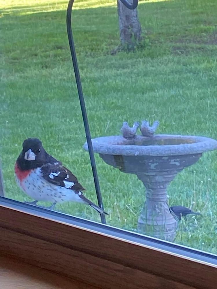 Фото The Sanctuary On Huron River