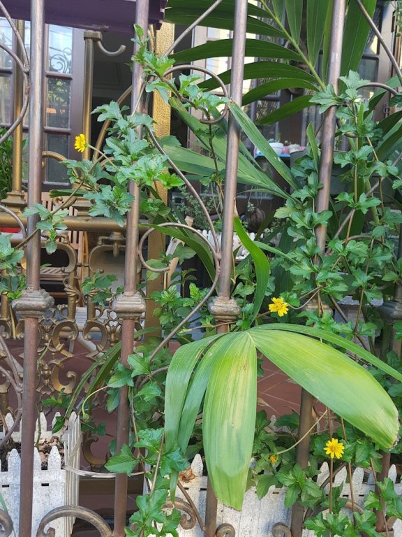 Фото Little Home Hostel