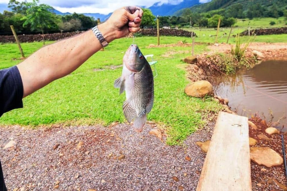 Фото Pousada Chalés Vale do Rio do Boi