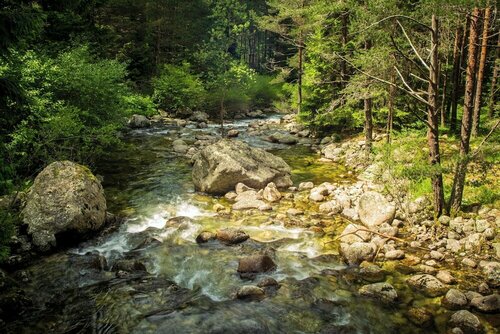 Гостиница Cota1110 в Софийской области