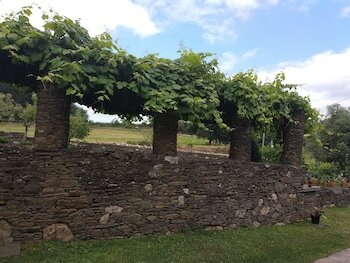 Фото Fogar de Lecer