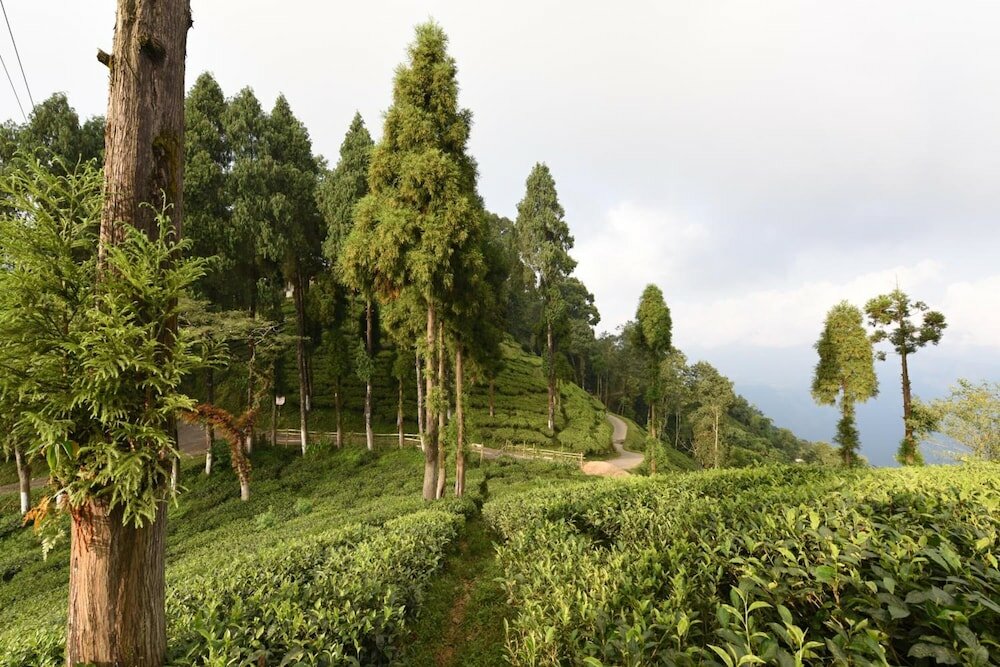 Фото Sourenee Tea Estate & Boutique Resort