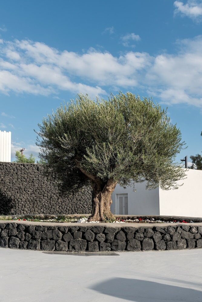 Фото Santa Irina Luxury Sunny Lofts