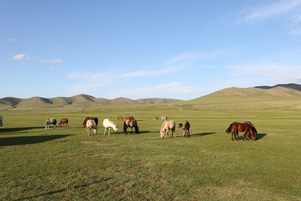 Фото Gaya's guesthouse