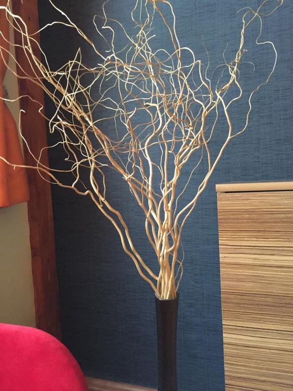 Фото Dohany Residence