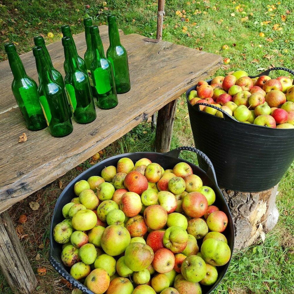 Фото La Figal de Xugabolos