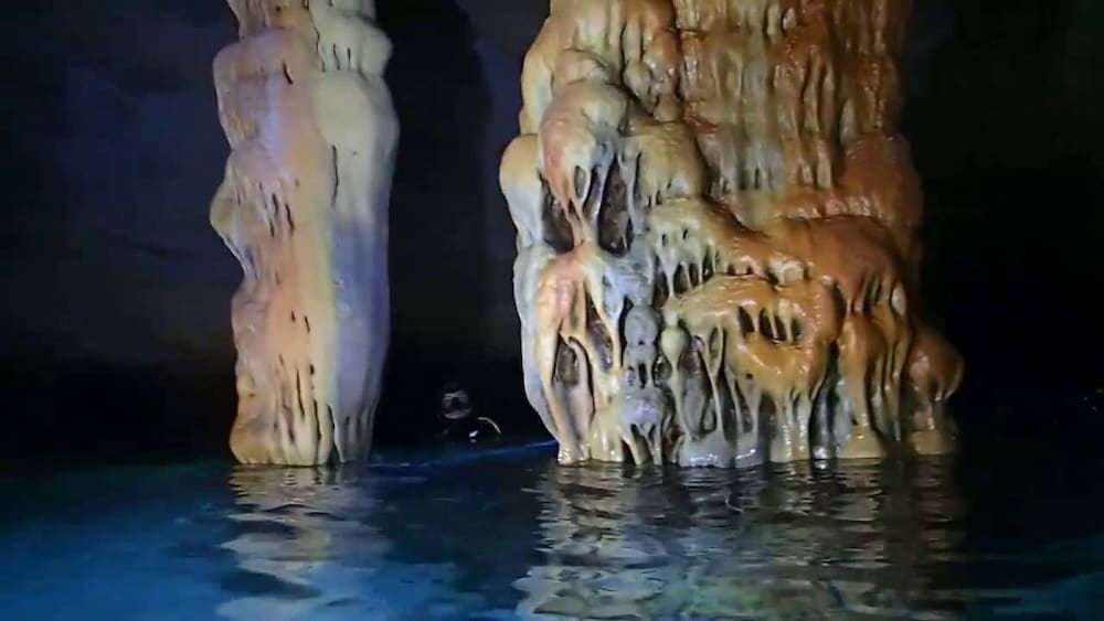 Фото Omega Comfy Apts