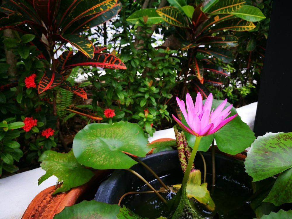 Фото On The Hill Karon Resort